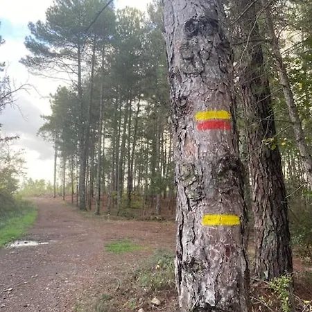 Avec Piscine Dans Les Cevennes *