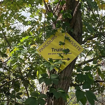 Villa Avec Piscine Dans Les Cevennes Besseges
